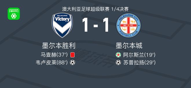 本文将为您