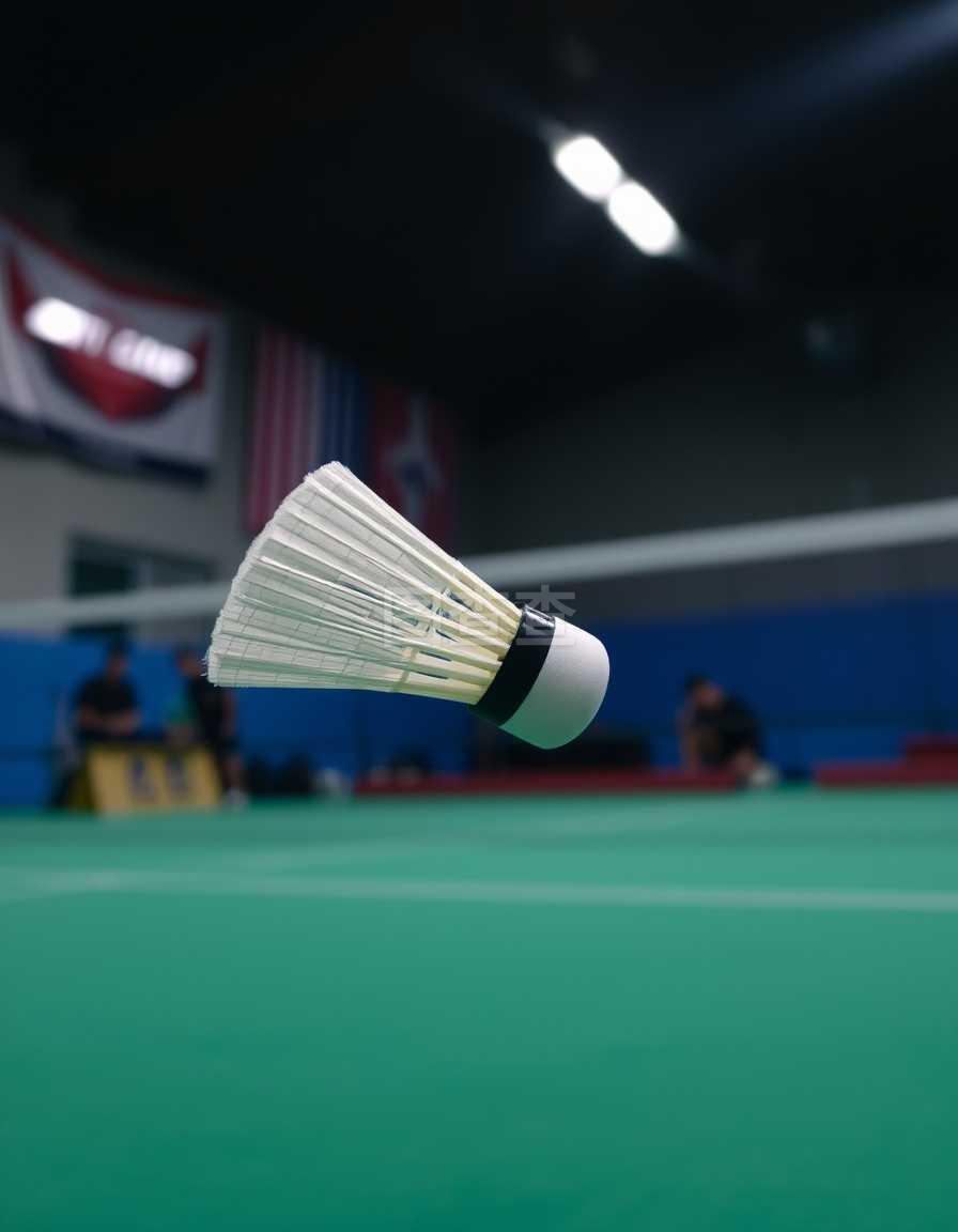 部和国家队 部和国家队