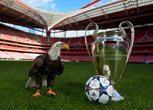 针强心剂 针强心剂